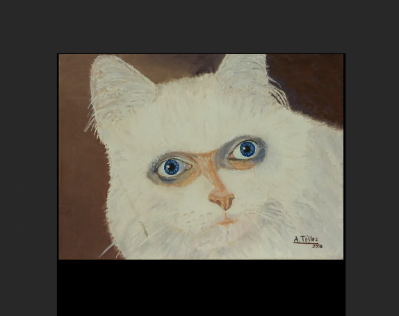 P200: Gato (2010)
