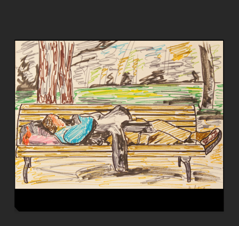 D194: Siesta en el parque (2017)