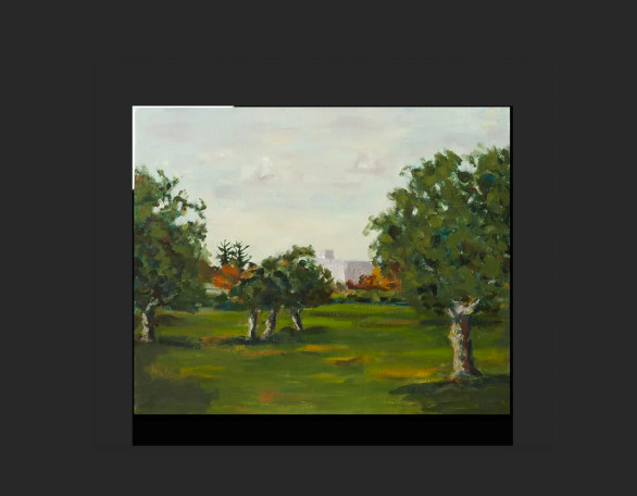 P141: Jardín con olivos (2015)