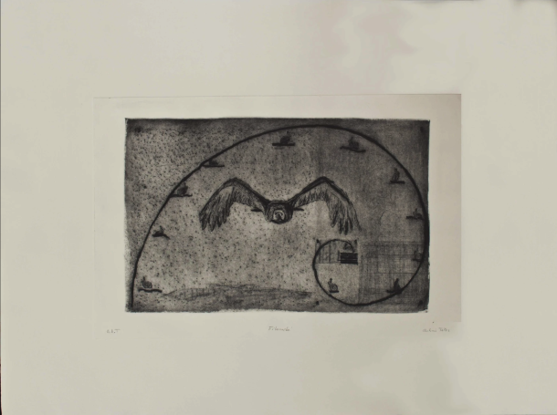 G102: Fibonacci (2016)
