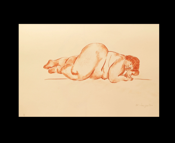 D144: Obesa (2015)