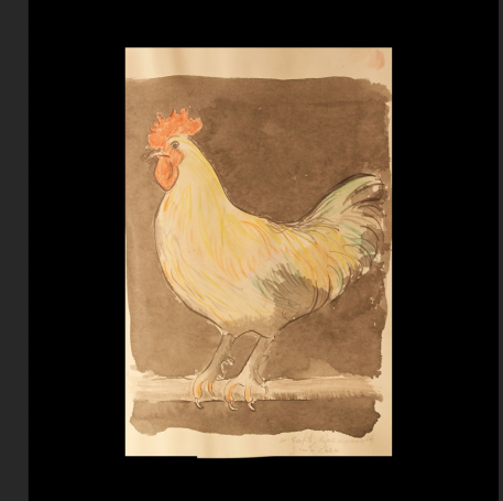 D145: Gallo (2015)