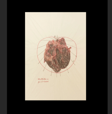 D190: Cardiode (2016)