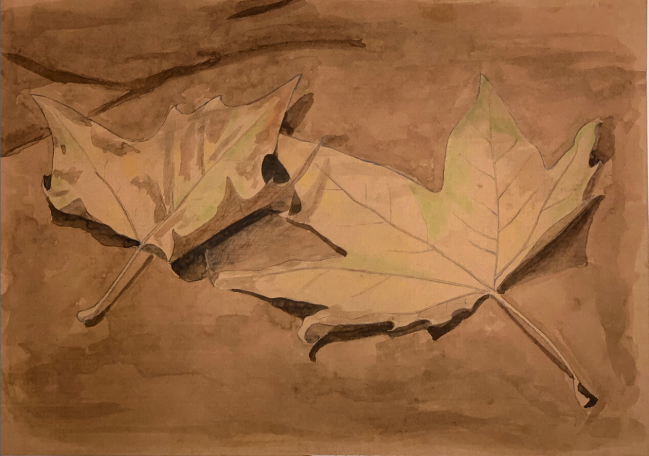D124: Otoño (2014)