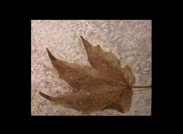 P106: Invierno (2000)