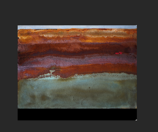 P230: Paisaje sin pigmentos (2019)