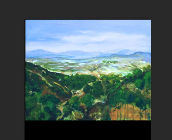 P163: Paisaje El Juanar II (2017)