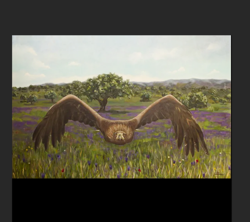 P123: Aguila Real en la dehesa (2011)