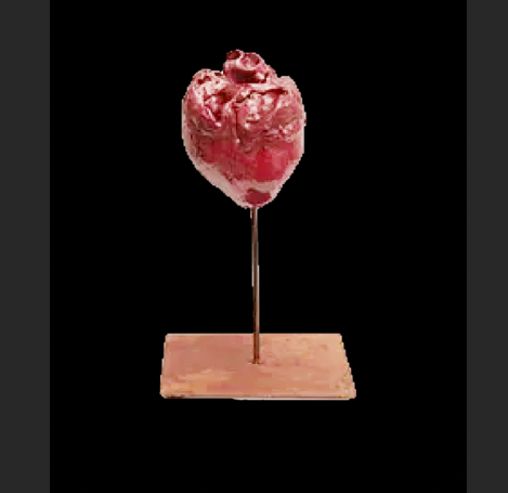 E157: Corazón (2016)